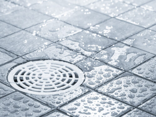 Clear shower drain in Belchertown, MA